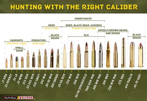 Use This Rifle Caliber Chart to Pick the Right Ammo for Hunting | Search, Bullets and Deer