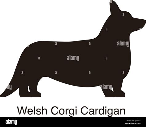 Welsh Corgi Cardigan dog silhouette, side view, vector illustration ...