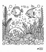 29 Free Aquarium Coloring Pages – The Color Cove sketch template