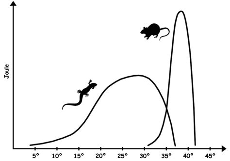 Difference Between Homeothermic and Poikilothermic | Compare the ...