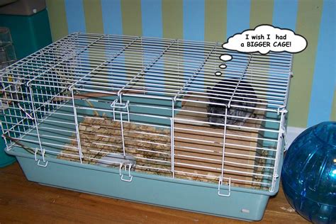 Make Your Chinchilla's Cage Bigger. : 6 Steps (with Pictures ...