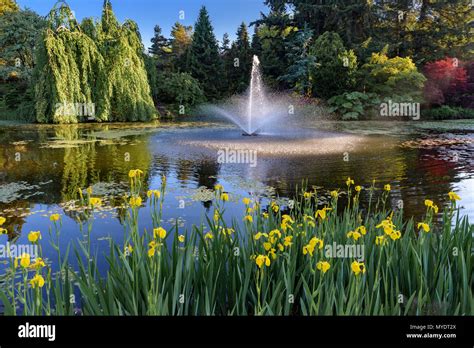 Pond with fountain, VanDusen Botanical Garden, Vancouver, British Columbia, Canada Stock Photo ...