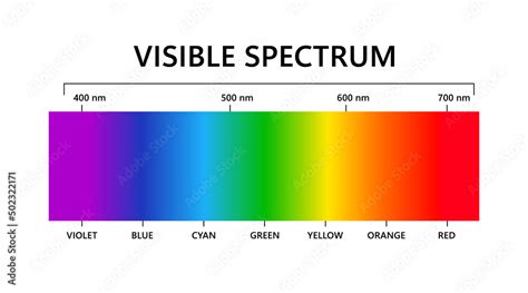 Visible light spectrum. Electromagnetic visible color spectrum for ...