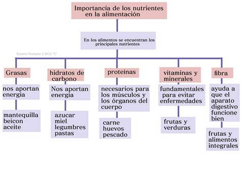 Elabora Un Mapa Conceptual Sobre Los Tipos De Nutrientes Y Alimentos Porn Sex Picture ...