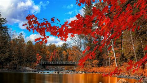 Red Autumn Wallpapers - Wallpaper Cave