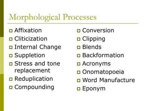 PPT - Morphology PowerPoint Presentation, free download - ID:3604626