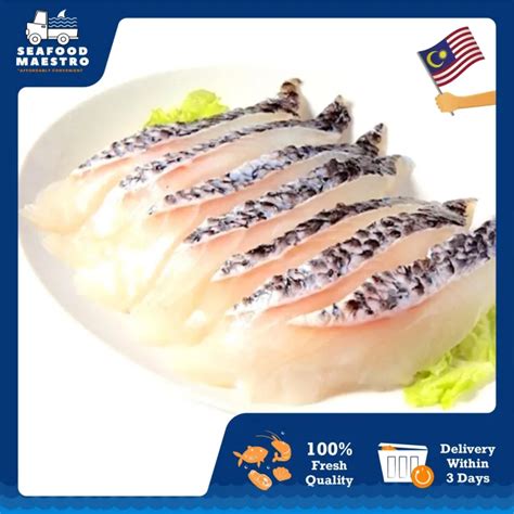 [Seafood Maestro] Premium Grade Fish Toman Fillet (1.5kg) / Seafood ...