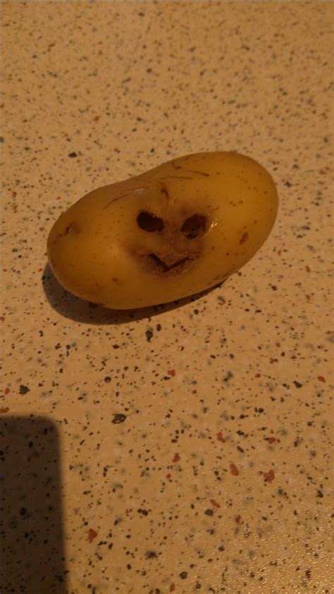 Found this potato...weird yet funny. | Potato picture, Lightening ...