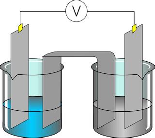 Anode vs. Cathode in Electrochemical Cells | Reaction & Notation ...