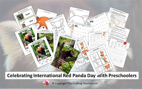 Celebrating International Red Panda Day With Preschoolers - The Crafting Teacher