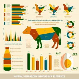 Animal Husbandry: Management, Prevention, Symptoms, Videos, Example