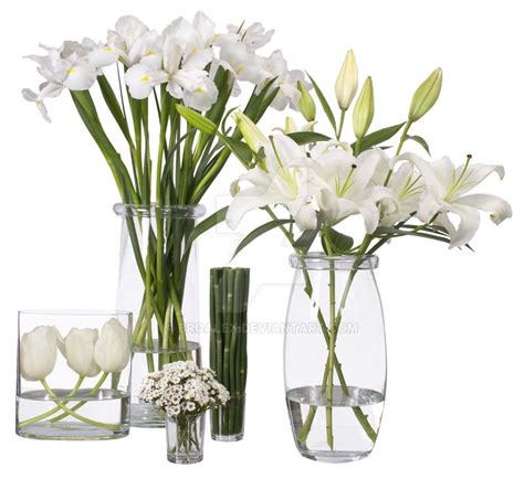 White floral decorations by broalex on DeviantArt