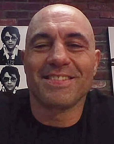 Joe Rogan - Wikipedia