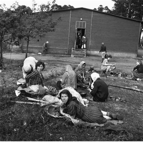 Photos of the Horrors Discovered During the Liberation of Nazi ...