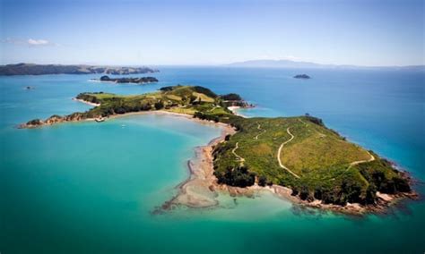 Conservationists turn tiny New Zealand island into bold wildlife experiment | Focusing on Wildlife