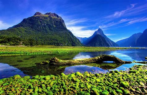 Best Time to Visit New Zealand | New Zealand Walking Tours