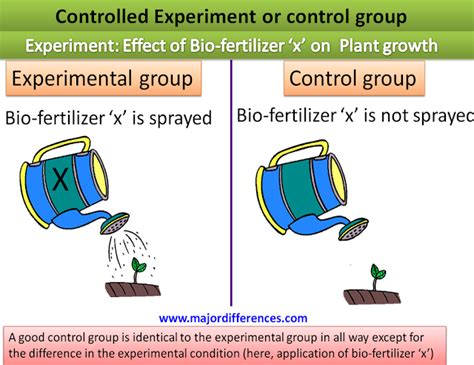 Control Group and Experimental Group