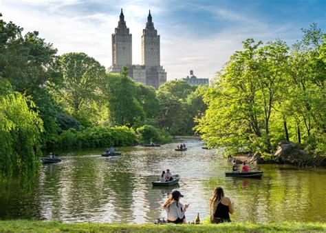 Central Park Will Become a Hub for Climate Research | ArchDaily