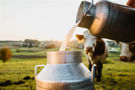 The challenge is how to make ‘Dairy Farming’ environmentally viable - JK Policy Institute