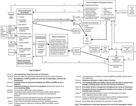 The Meanings of Salutogenesis - The Handbook of Salutogenesis - NCBI Bookshelf