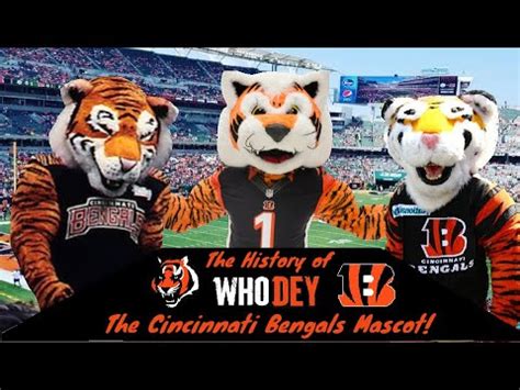 The History Of Who Dey, the Cincinnati Bengals Mascot - YouTube