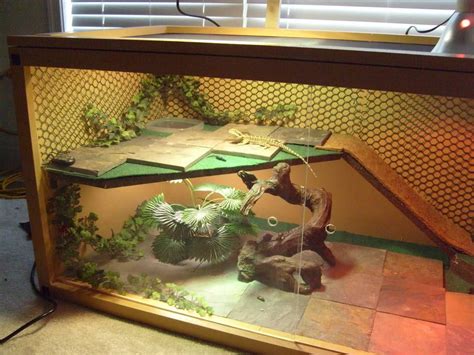 Viv pics only thread | Enclosures | Bearded dragon habitat, Bearded ...