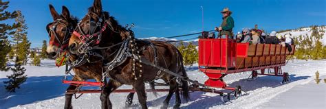 Sleigh Rides | Town of Frisco