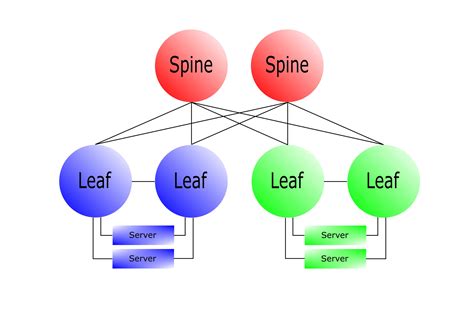 What is Spine and Leaf Network Architecture? – Think-It-Project Managment