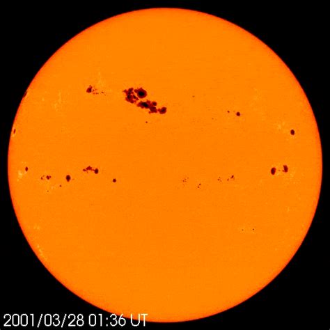 Sunspots: What are they, and why do they occur? | Space