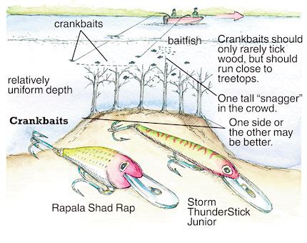 crankbait depths,Save up to 16%,www.ilcascinone.com