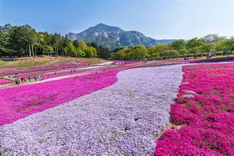 Okuchichibu Mountains