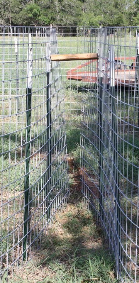 Corral Trap Designs for Feral Hogs | Wild hog, Boar hunting, Hog hunting