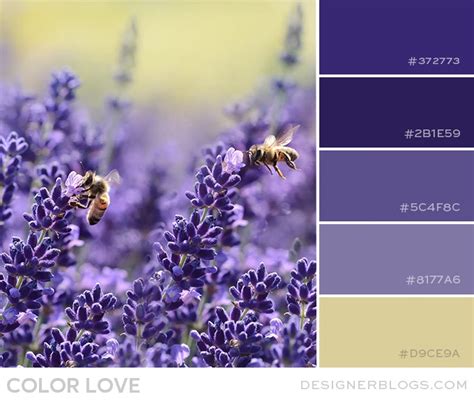 Lavender & Beige Color Palette