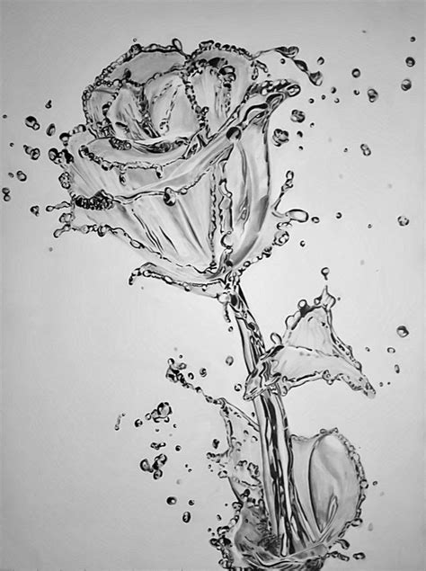 Hyper-Realistic Water Pencil Drawings | Cool pencil drawings, Beautiful flower drawings, Amazing ...