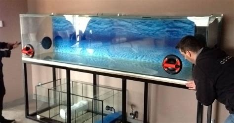 7 Easy Steps To a New Aquarium Installation | Aquatech Aquarium Service