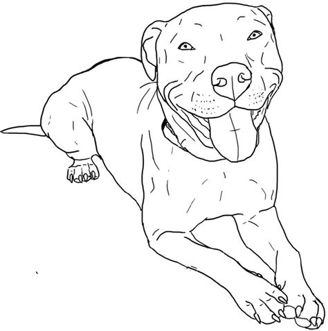 Pitbull Coloring Pages Printable | Dog coloring page, Pit bull drawing ...