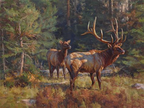 Elk pictures, Hunting art, Wildlife paintings