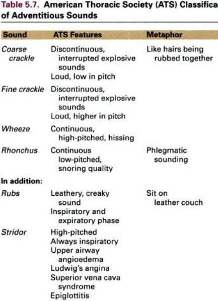 Adventitious Lung Sounds... | Nursing mnemonics, Respiratory care, Nursing classes