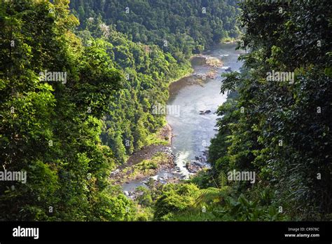 North Johnstone River, rainforest, Atherton Tablelands, Queensland ...