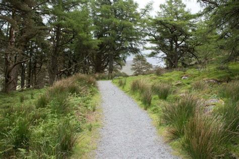 Walking Trail in Snowdonia National Park