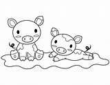 Printable Baby Pigs Coloring Page sketch template