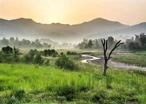 Safari at Rajaji National Park: Book Online - Rishikesh Day Tour