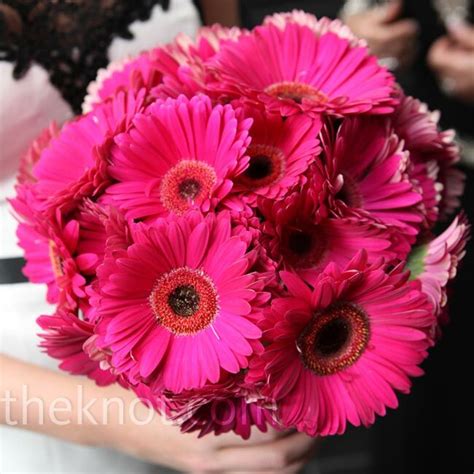 Pink Daisy Bouquet