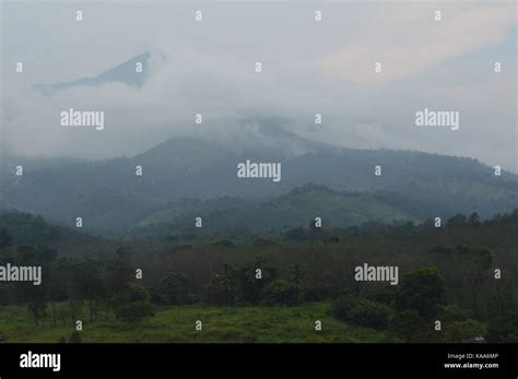 Wayanad, Kerala, India Stock Photo - Alamy