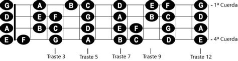 🎸 Notas del bajo de 4 cuerdas – Beto Foronda