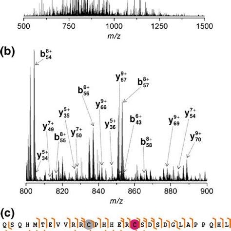 Reaction of p53 core domain with N-ethylmaleimide. (a) NEM titration.... | Download Scientific ...