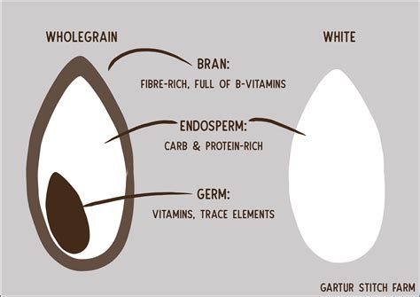 Whole Wheat Flour Vs White Flour