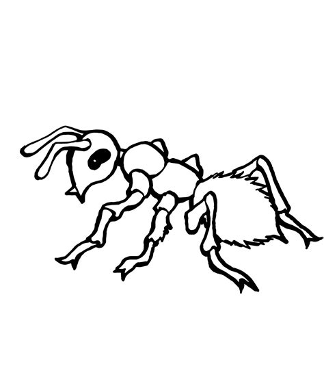 Ant Line Drawing - ClipArt Best