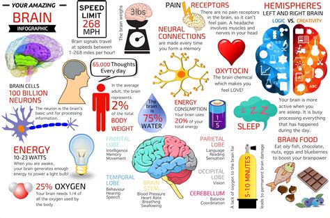 This is an article on The ADHD Elimination Diet and how you can reduce ...