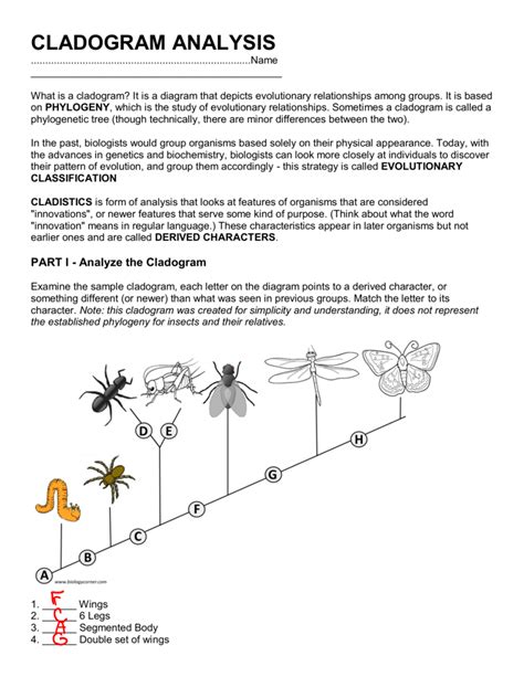 Cladogram Analysis — db-excel.com